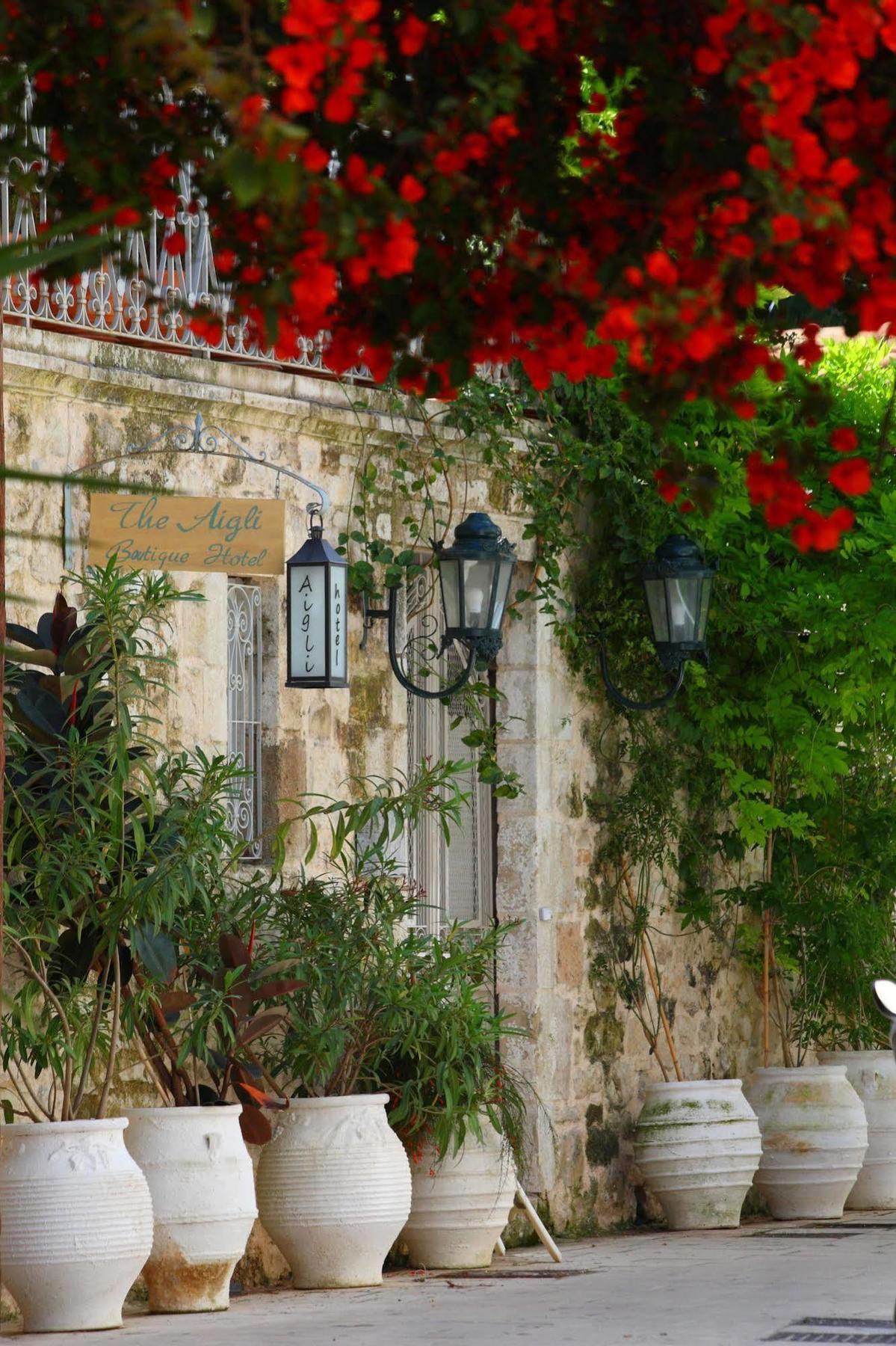 The Aigli Hotel Lefkada City Exterior photo